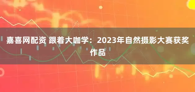 嘉喜网配资 跟着大咖学：2023年自然摄影大赛获奖作品